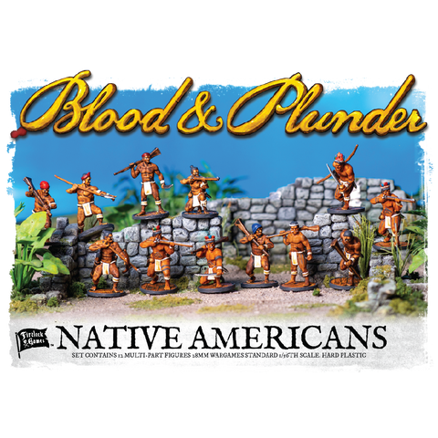 Native Americans unit box