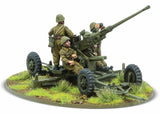 Polish Army 40mm bofors AA gun