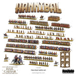 Epic Hannibal Battle set