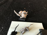 Skaven Packmaster & 5 rats