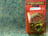Bretonian knights mounted Squire champion