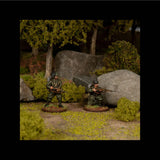 Italian Infantry