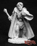 Elquin the Daring, Elf Wizard