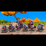 Fidwog Infantry, Quars War