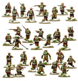 British & Canadian winter Platoon