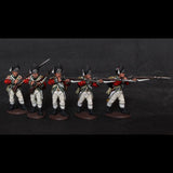5th Regt. British Grenadiers