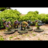 Crusader Specialists, Quars War