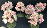 Japanese Flowering Trees