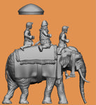 Indian King on Elephant