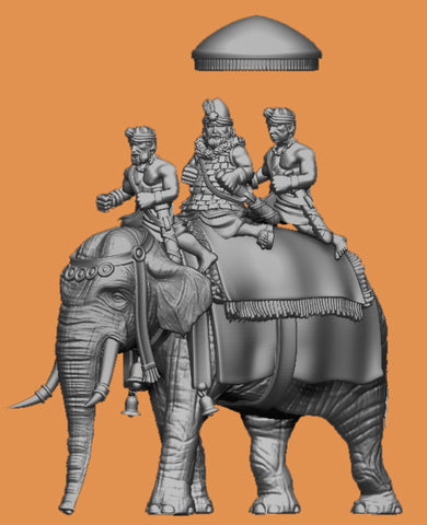 Indian King on Elephant