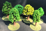Small Deciduous Trees