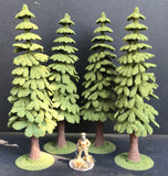 Large Conifers